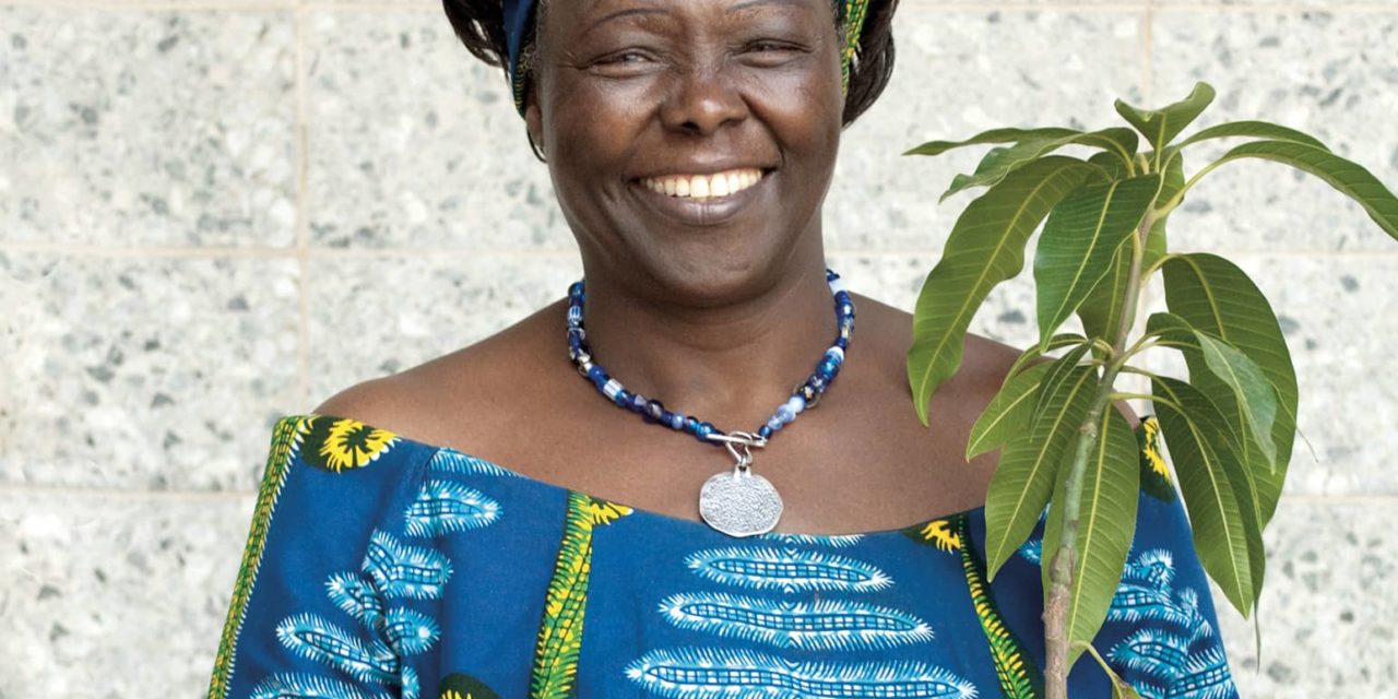 Wangari Maathai, la femme prix Nobel qui plantait des arbres